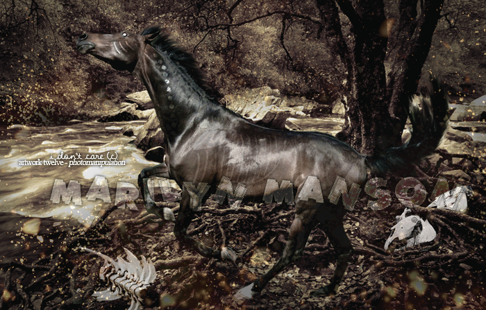 ♦ Chevaux bais.  634229ENFIN3PNG