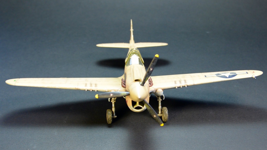 P-40 N 1/48  638312P40Nn4