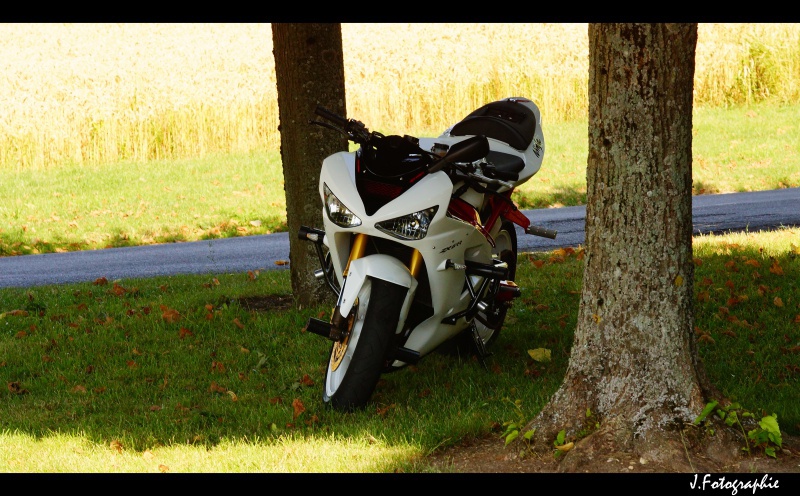 Zx6R K10 Blanc :) [Photo page 1] - Page 4 639915DSC02365copie