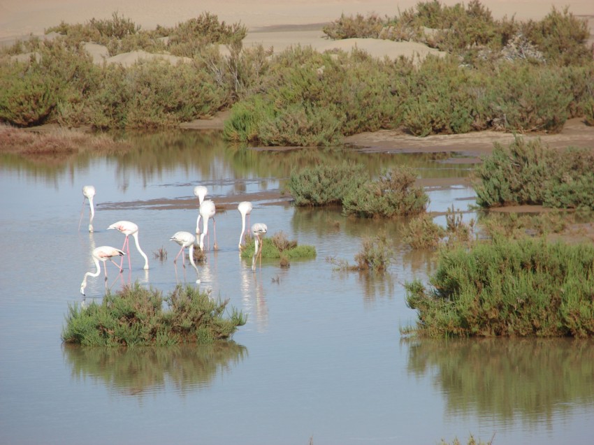 Le Grand Sud du Maroc - II 640207003