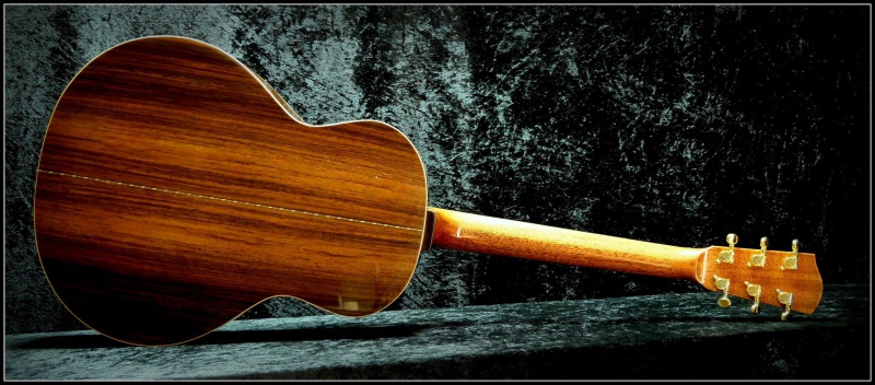 projet guitare Darmagnac en cours!! - Page 6 640508193905117710462963952291069663506237896206o