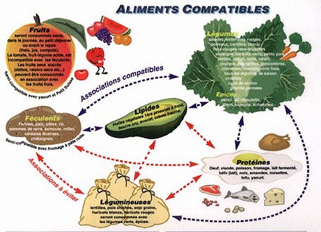 Aliments en remplacement pour eviter les exces 642178planche640