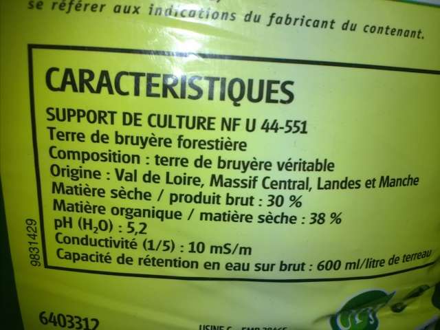 Nouveau projet : Bac de 64 litres, "naturel" méthode Walstad - Page 3 642873IMG1576