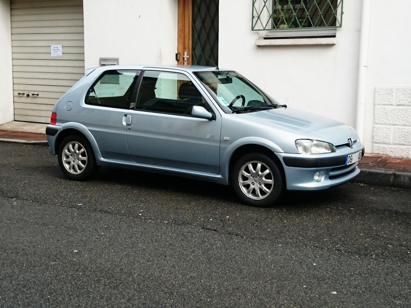 Babou | Gris iceland | Rennes (35) 643431IMG20150302135601