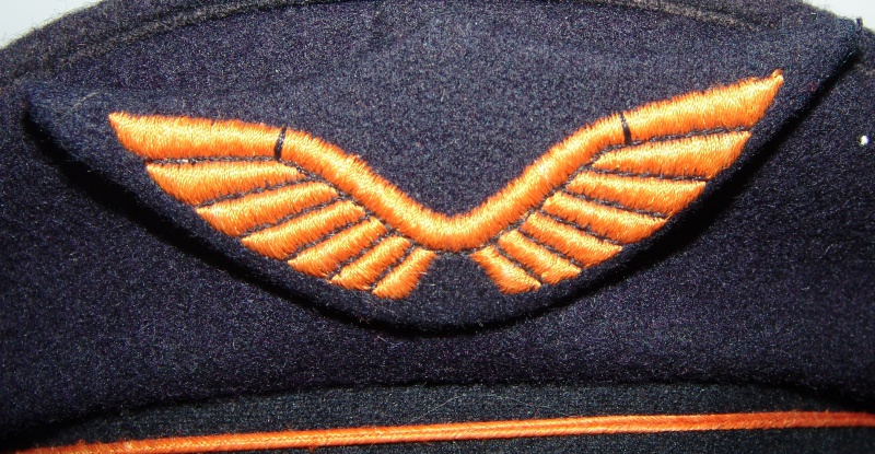 Insigne de casquette armée de l'air 648221DSC08982