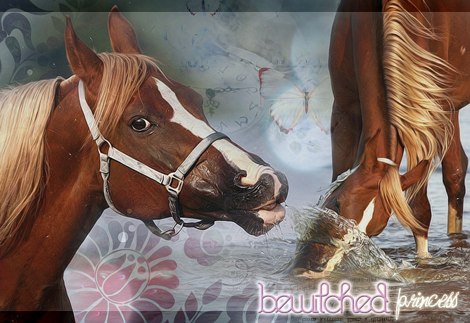 ♦ Chevaux alezans. 655408BewitchedPrincess