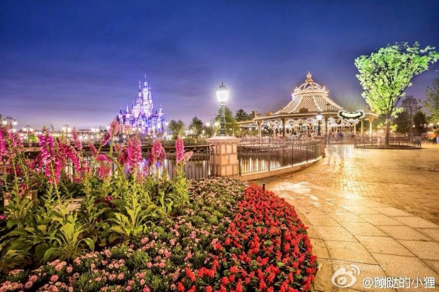 1 - Shanghai Disneyland (2016) - Le Parc en général - Page 30 657558w125