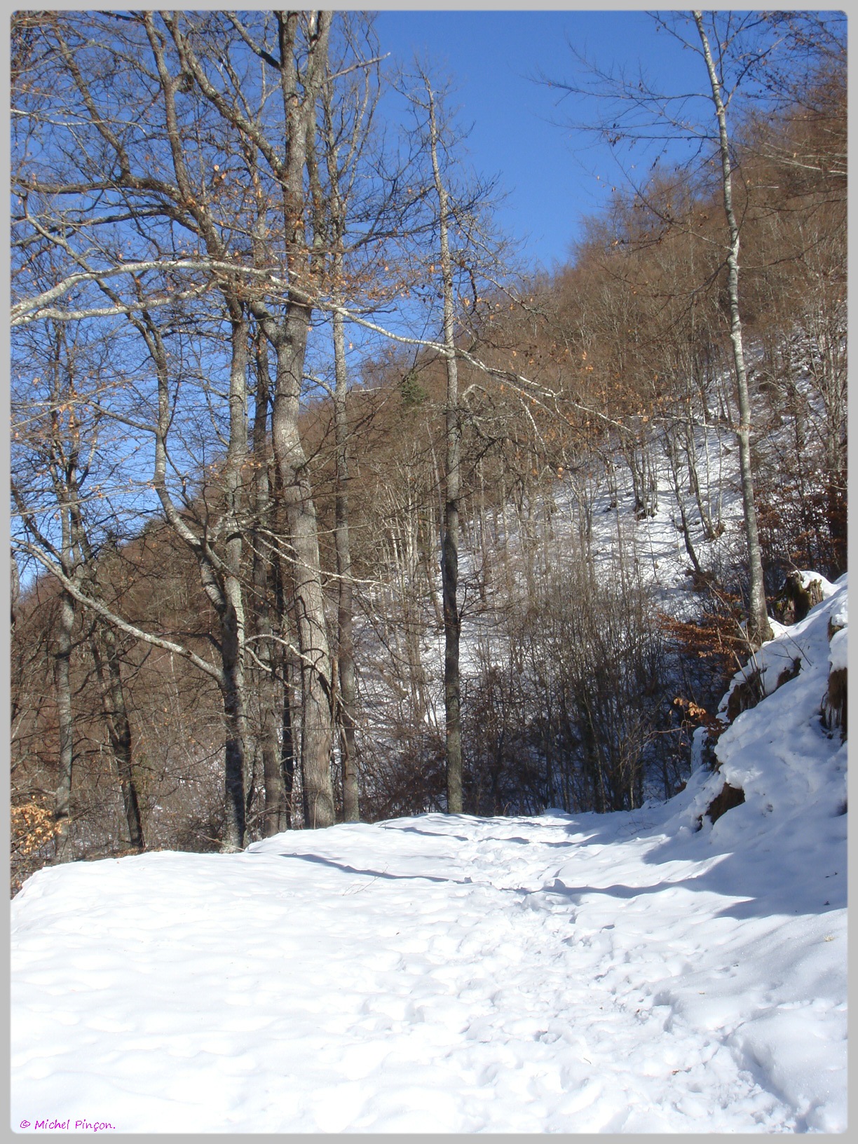 Une semaine à la Neige dans les Htes Pyrénées - Page 2 658160DSC011906