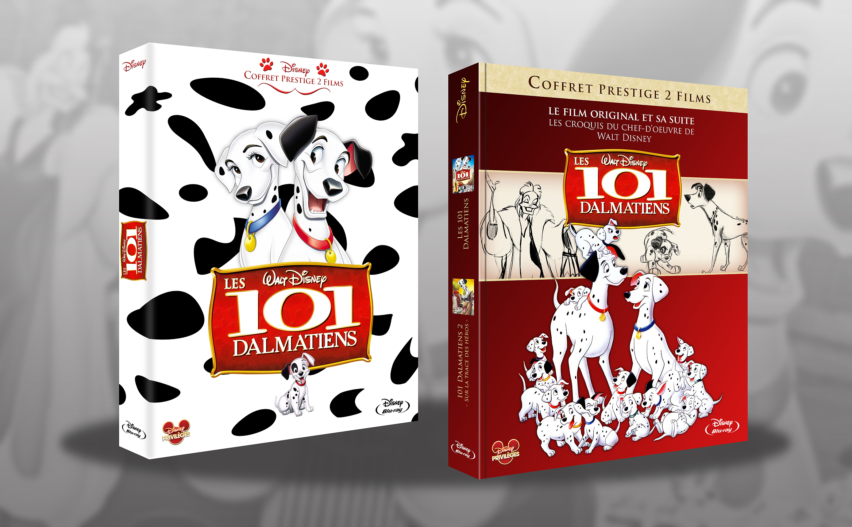 fan cover - Les jaquettes de fans (DVD, Blu-ray) - Page 19 662931coffret101dalmatiens