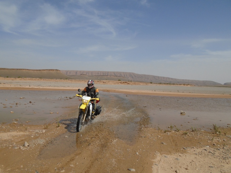 Maroc - Maroc 2016 de Franck, Speedy et Maxou 663226DSC00451