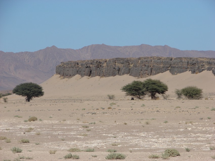 Le Grand Sud du Maroc - II 663361119