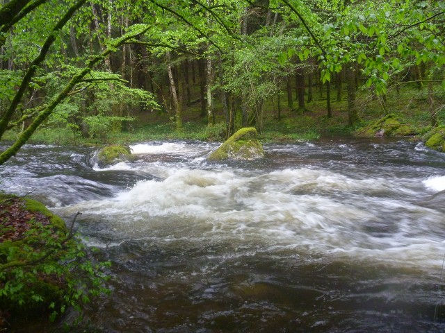 Le morvan en crue 664668P1110516640x480