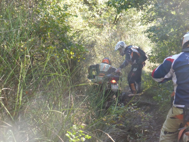 hard - CR Hard Hérault Tour 2016 : la balade à BUBU, des pistes de mort pour la Toussaint ! 664792HHT37