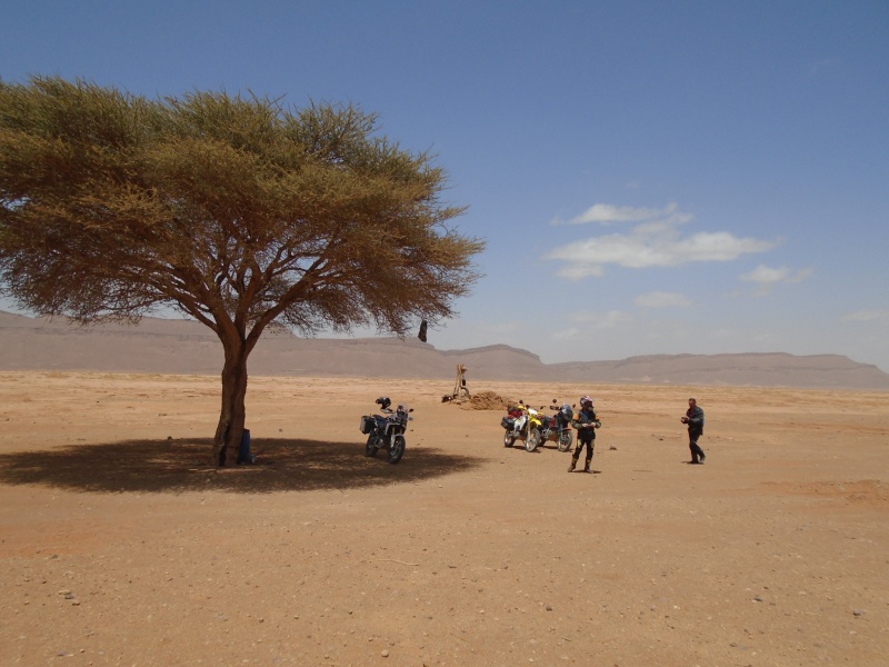 Maroc - Maroc 2016 de Franck, Speedy et Maxou - Page 2 666796DSC00552