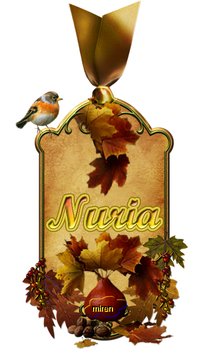 Nombres con N 667905Nuria