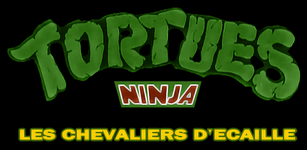 Tortues Ninja : Les chevaliers d'écaille 66901020100327183847TortuesNinja