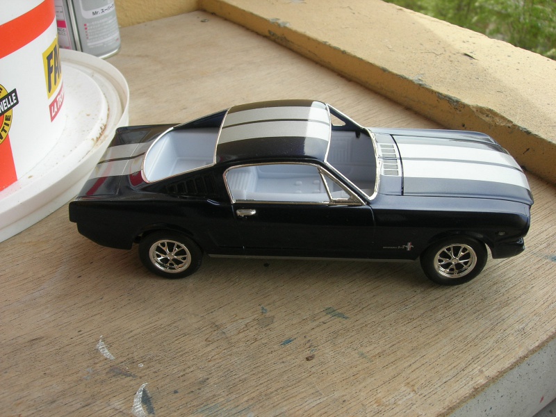 Mustang Fastback"65 Revell. 669779DSCN0021