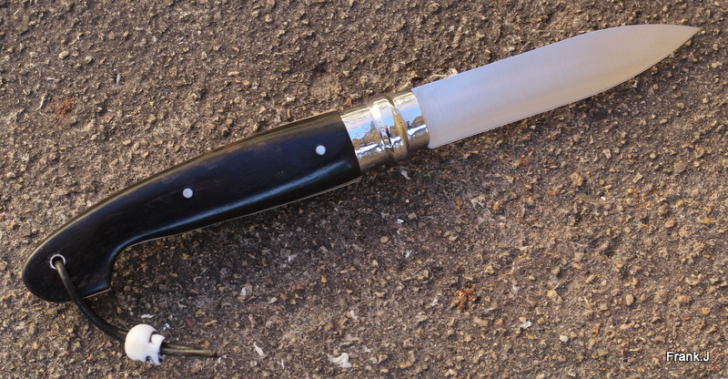 Opinel "custom" 2014 made in Frank 670074jardinbnecorian3