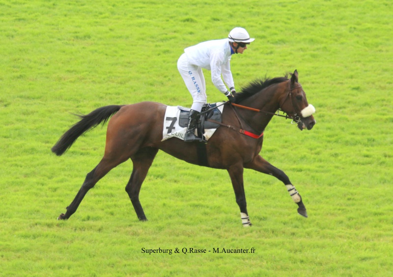 Photos Auteuil 23&27 juin 2016 - Page 2 6720075J6A4450