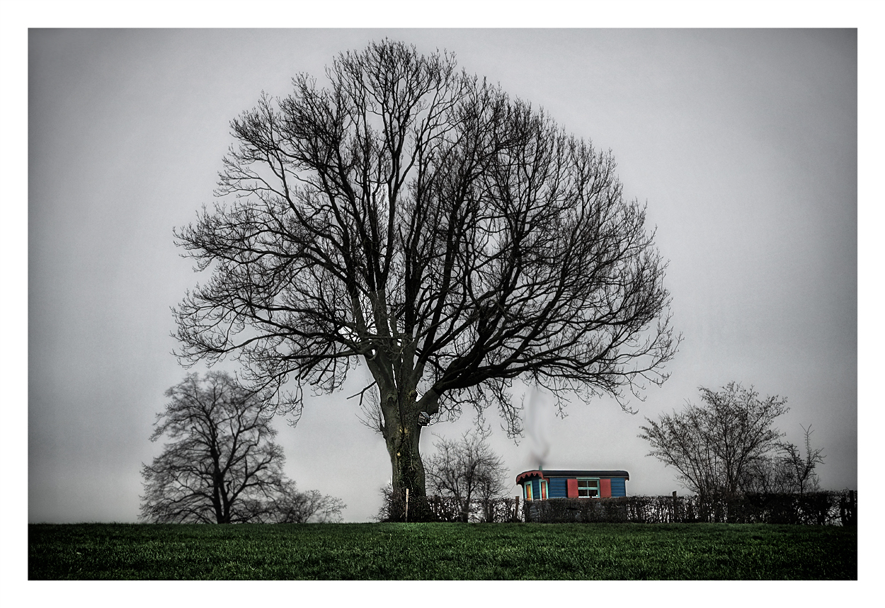 L'arbre et la roulotte. 672649baraque1bis