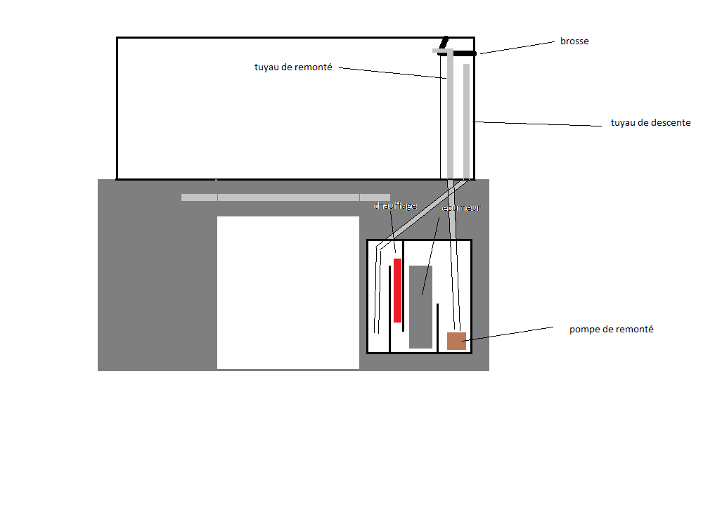 Mon projet 360L recifal 683061decantation