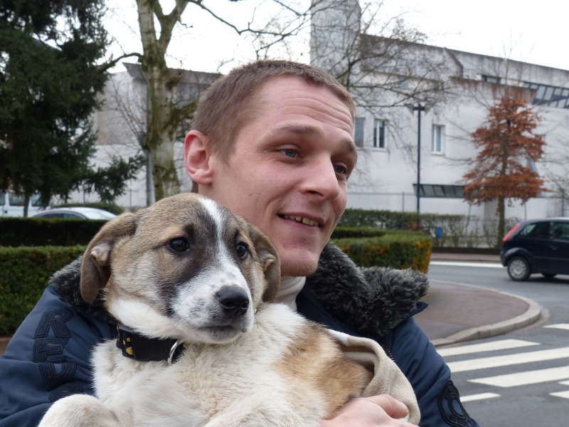 Joey, petit bout de 2 mois, ADOPTABLE EN JANVIER 683151P1020401