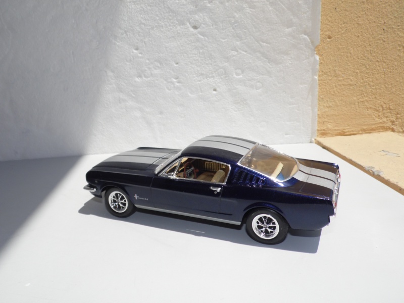 Mustang Fastback"65 Revell. - Page 3 685591SAM7237