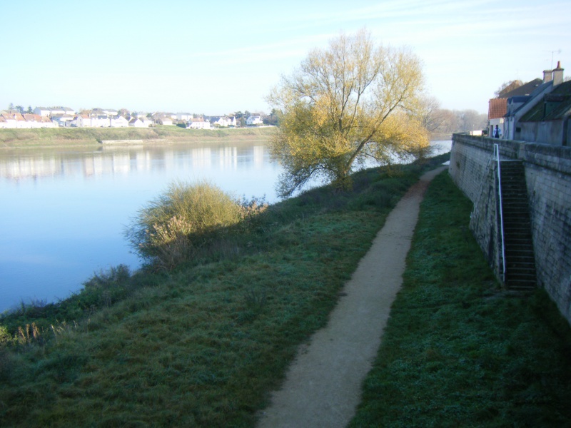 Bords de Loire - Jargeau d'une rive à l'autre (45) - samedi 3 décembre 2011 685959DSCF2196