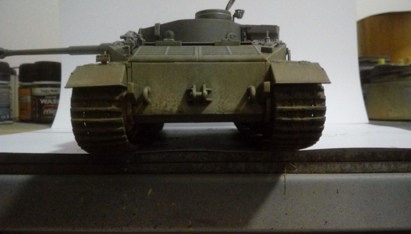 Sd.Kfz.181 Panzerkampfwagen VI (P) Dragon 1/35ième - Page 2 686128IMAG3050