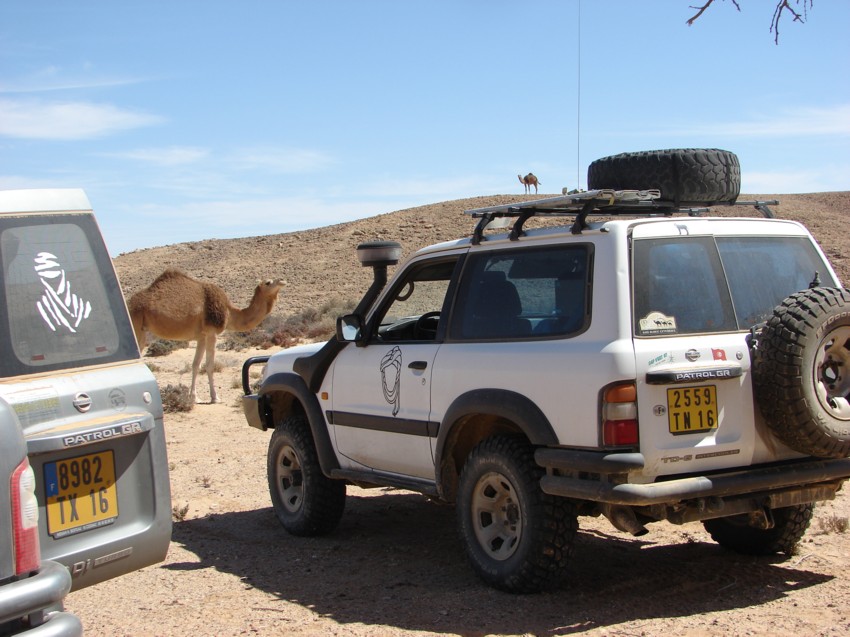 Le Grand Sud du Maroc - II 692400039