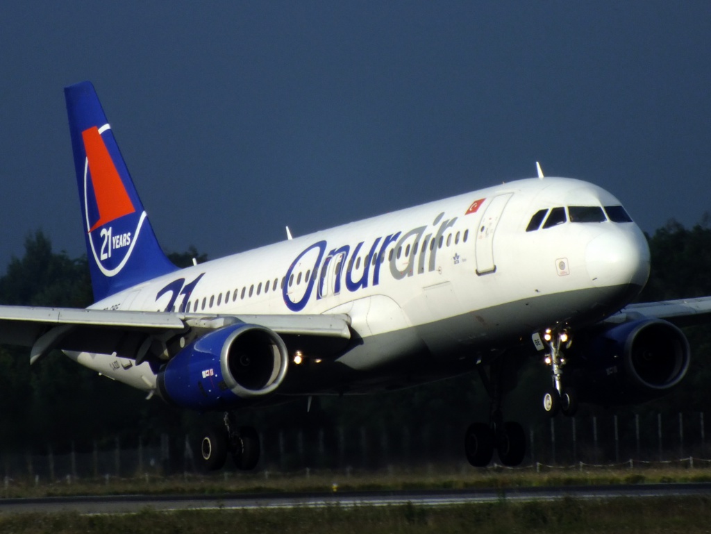 Spotting du 26/08/2013 : A321 Alitalia + PAF + Transall + Cartouches 694325Aoutn12010