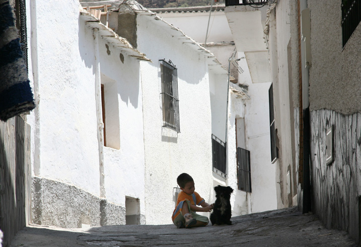 L’Andalousie des champs ( quoi que ! ) 6964641331Mmeetchien