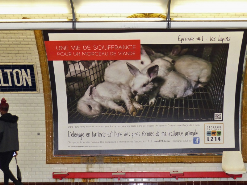 14 - Des lapins morts pour secouer les consciences - Paris 27 mars 2013 699405P11207723