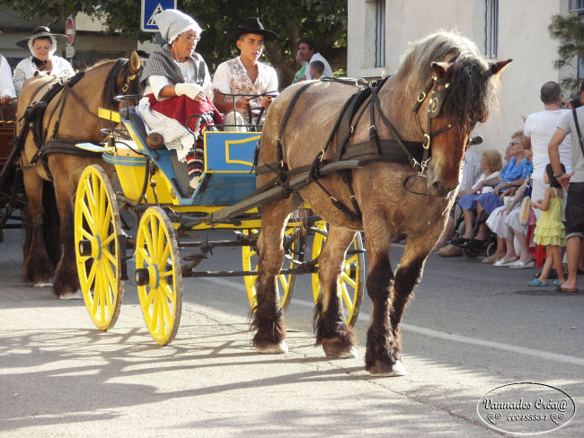 Cavalcade de Nans les Pins (Var) 2013 700231237