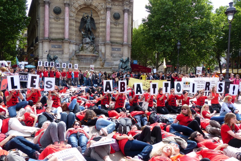 15 - Marche pour la fermeture des abattoirs - Paris - 15 juin 2013  701077P1040299