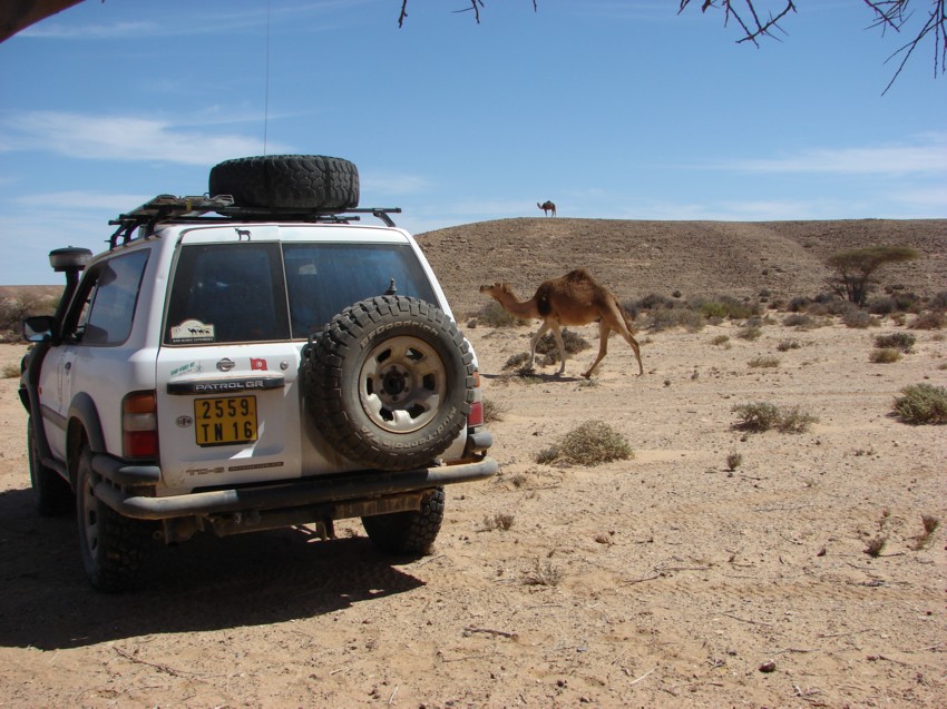 Le Grand Sud du Maroc - II 702487037