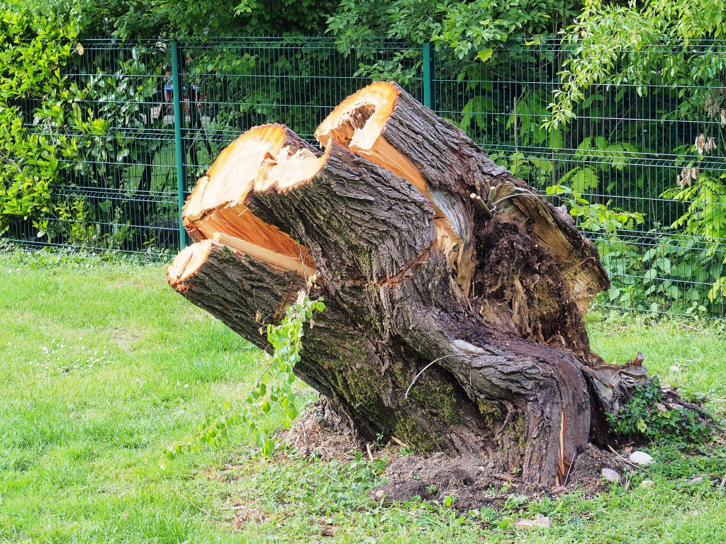 	 [FIL OUVERT] le bois sous toutes ses formes - Page 4 702522P5041547a