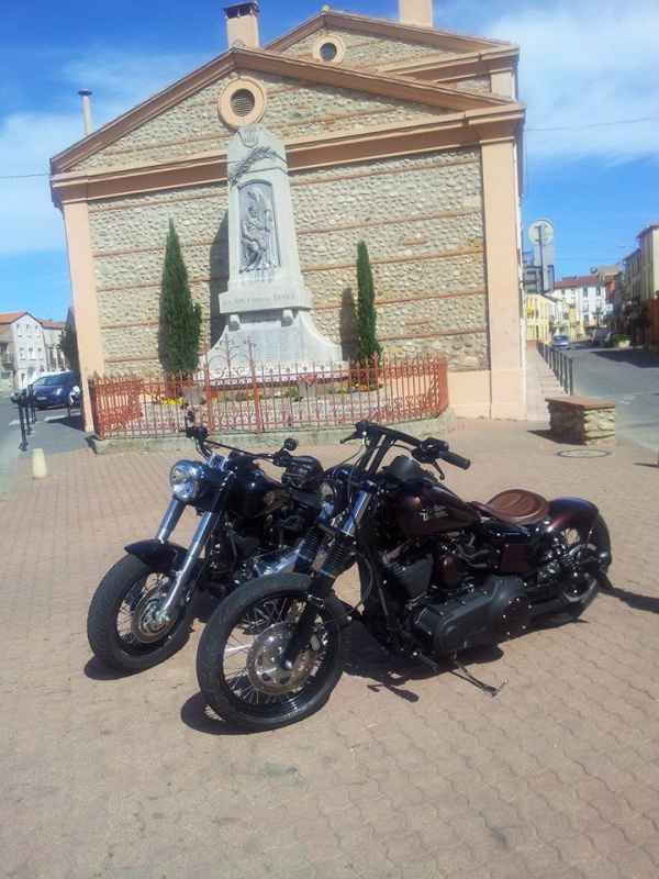 Prépa sur base d'un Street Bob 2014 - Page 4 702974970395101523474020460851022114379n