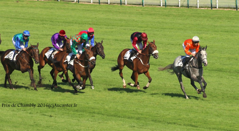 Photos Auteuil 24-09-2016 7032315J6A7147