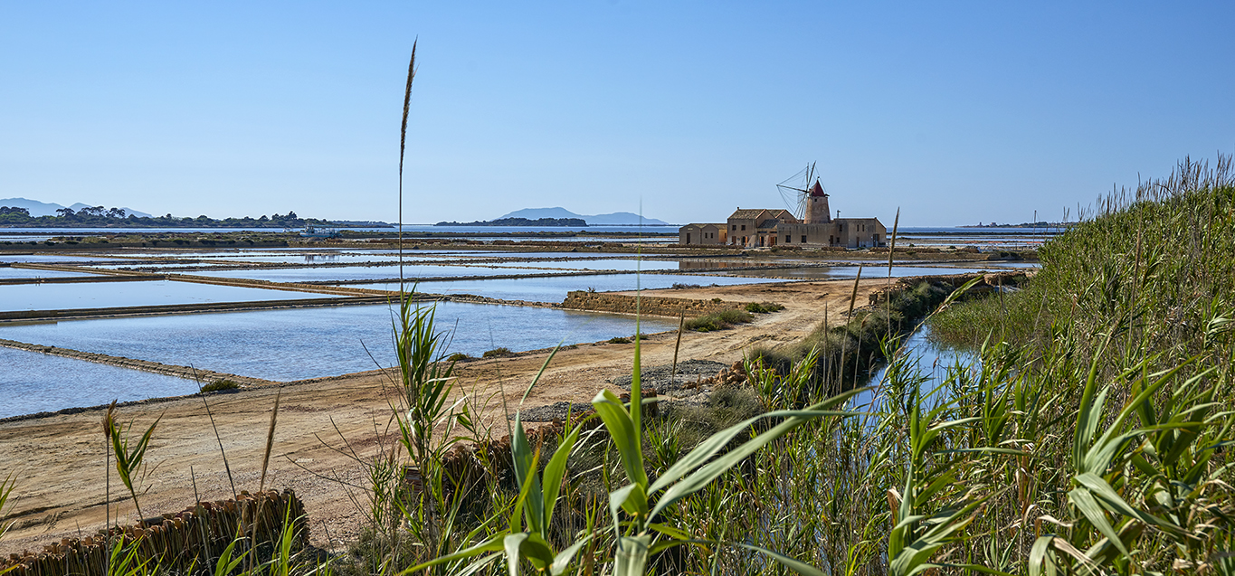 Salins à  703606MoulinSalins1365pix