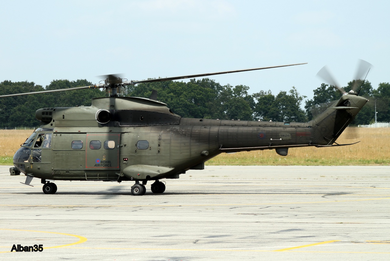 Patrouille Pumas Royal Air Force & Divers le 01.08.14 706469IMG0881