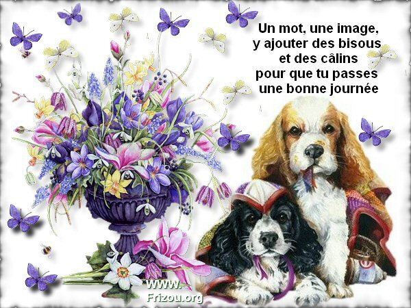 Vendredi 8 Janvier 2016 707153BONNEJOURNEEFRIZOUCLIGNOTPAPILLONS41