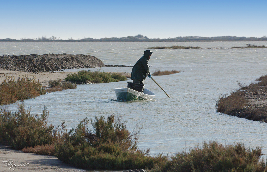 Sortie Camargue & les Baux de Provence - christ30 & tiotiti 708010DSC7855