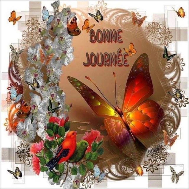 bonjour ,bonne journée - Page 7 7123351468667230386700418332365092801n