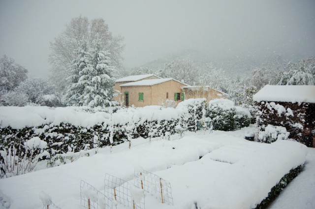 Quel temps il fait chez vous ?   - Page 25 714655Noules