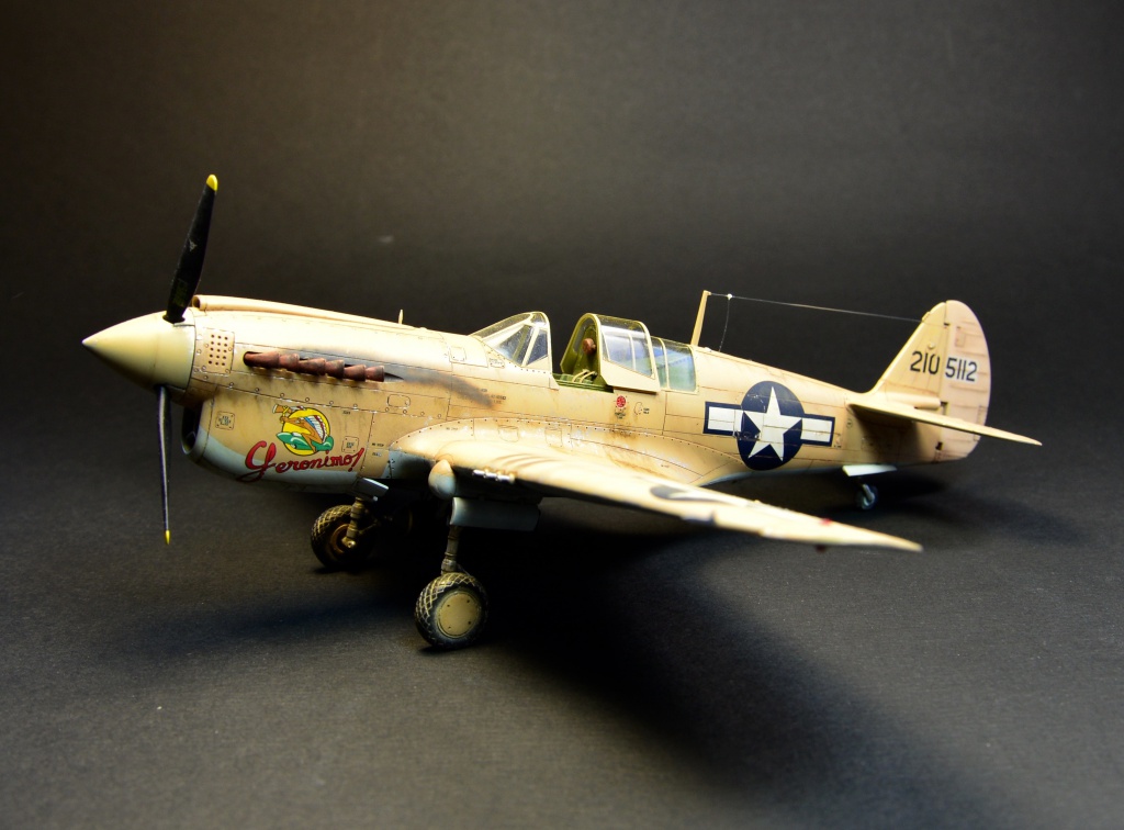 P-40 N 1/48  716563P40Nn1