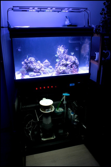 Micro Reef 120L 717521IMG0156