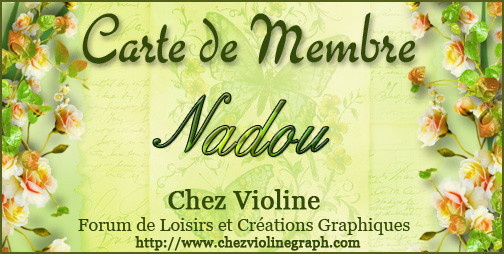 Carte de membre - Page 5 718379nadou