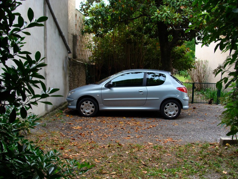 [PEUGEOT] 206 1.6L 16V   718764DSC01787jgm