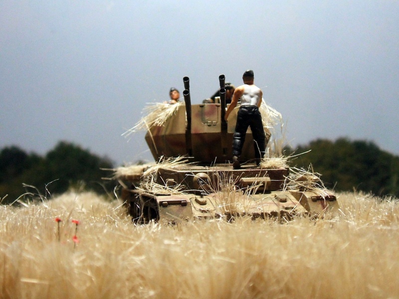 Normandie 44: Sd.Kfz.161/4 Flakpanzer (2 cm) Hasegawa 71972606WiberlwindHasegawa72evueavant